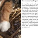 Katzen auf der Jugendfarm - Antwort 1