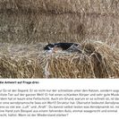 Katzen auf der Jugendfarm - Antwort 3