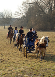 Kutschfahrt mit Pony Max Kutschfahrt mit Pony Max