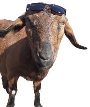 Ferienbetreuung 2021 Ferienbetreuung 2021